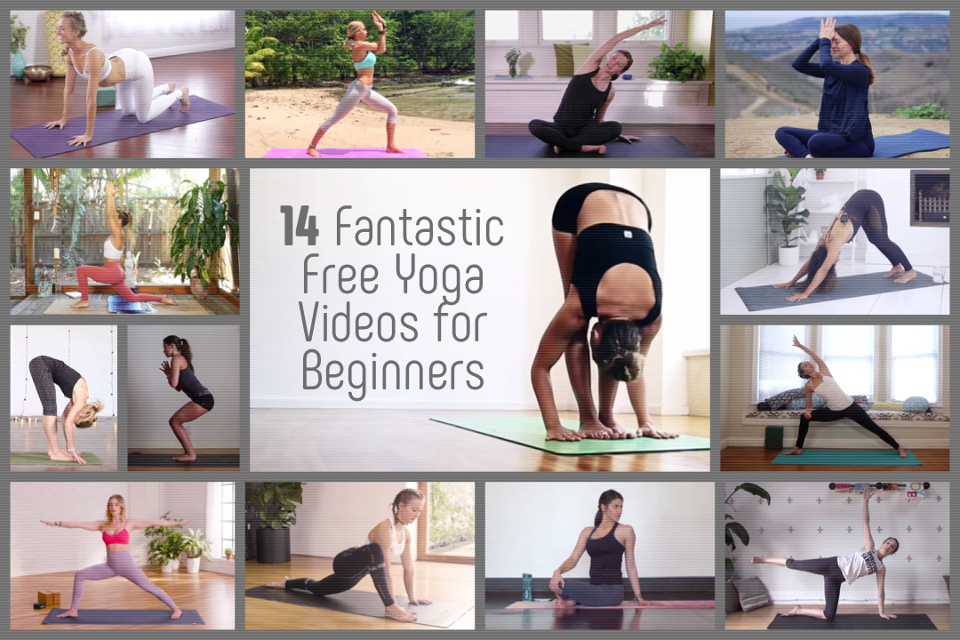 14 Fantastic Free Yoga Videos for Beginners yoga videos for beginners