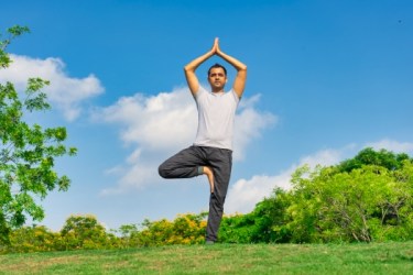 Tree pose (Vrksasana)