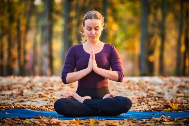 Anjali Mudra