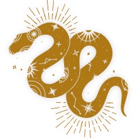 coiled snake symbol
