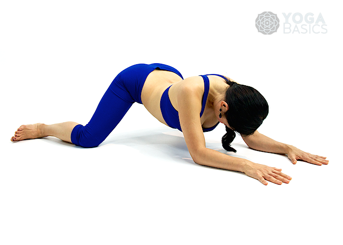 Downward Facing Frog pose • Adho Mukha Mandukasana