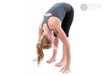 Uttanasana • Standing Forward Fold