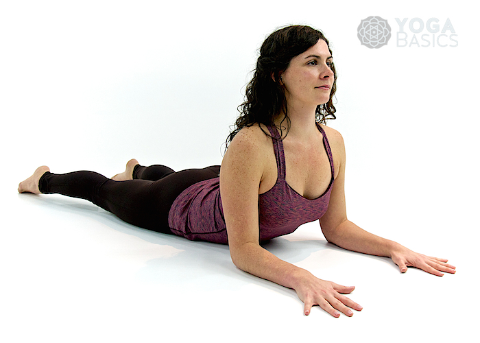 Sphinx yoga pose • salamba bhujangasana