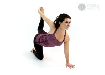 One Handed Tiger Pose • eka hasta vyaghrasana