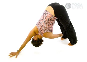 Revolved Downward Facing Dog / Parivrtta Adho Mukha Shvanasana