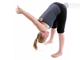 Standing Yoga Seal / dandayamana yoga mudrasana