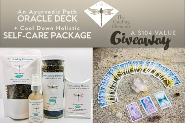 The Guiding Elements giveaway