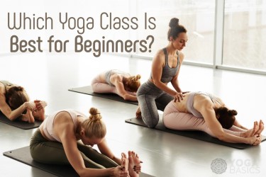 Yoga Class for Beginners