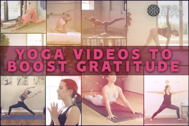 Gratitude Yoga Videos